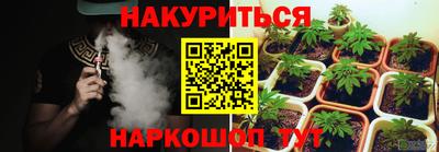 индика Берёзовский