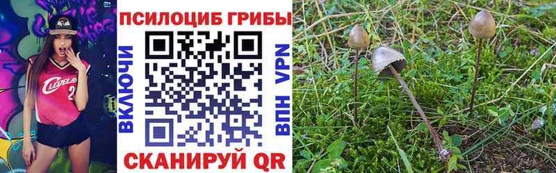 Псилоцибиновые грибы Psilocybe  Бердск 