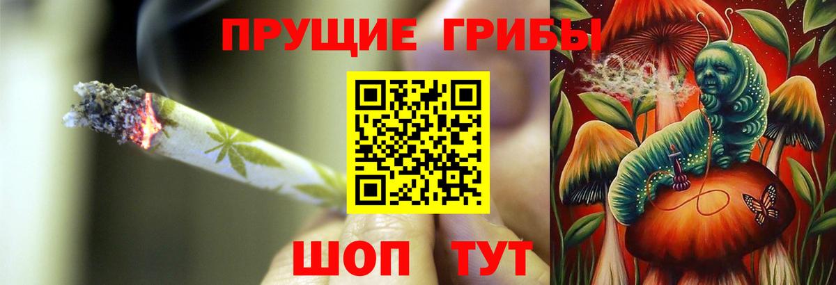 Бердск  Галлюциногенные грибы GOLDEN TEACHER  цена   Вход с VPN  Псилоцибиновые грибы ЛСД 